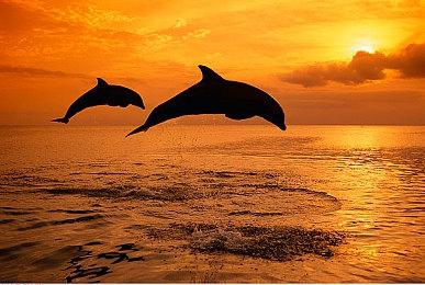 第三人称射击生存动作冒险游戏《奇异地平线》现已上线Steam平台